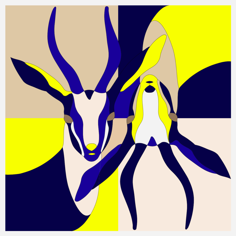 alto duo paloma morand monteil duo antilopes graphisme
