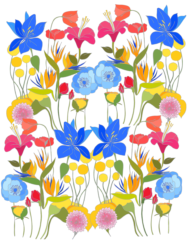 fleurs-paloma-mm-morand-monteil-dessin-dessinatrice-graphiste